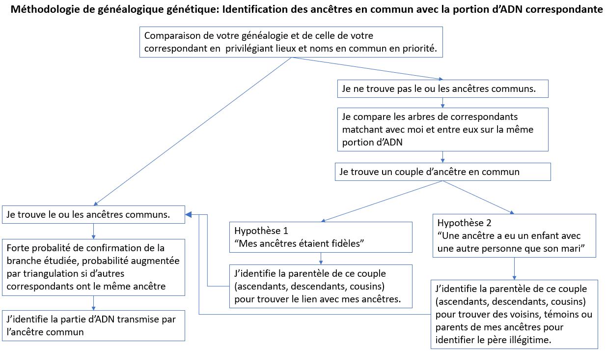 Enquête de notre histoire